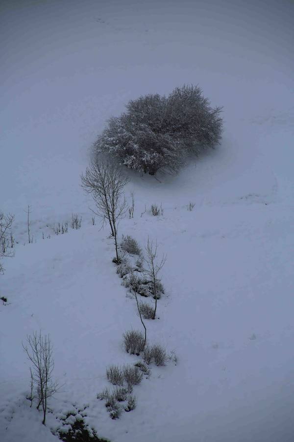 El Principado, cubierto por la nieve