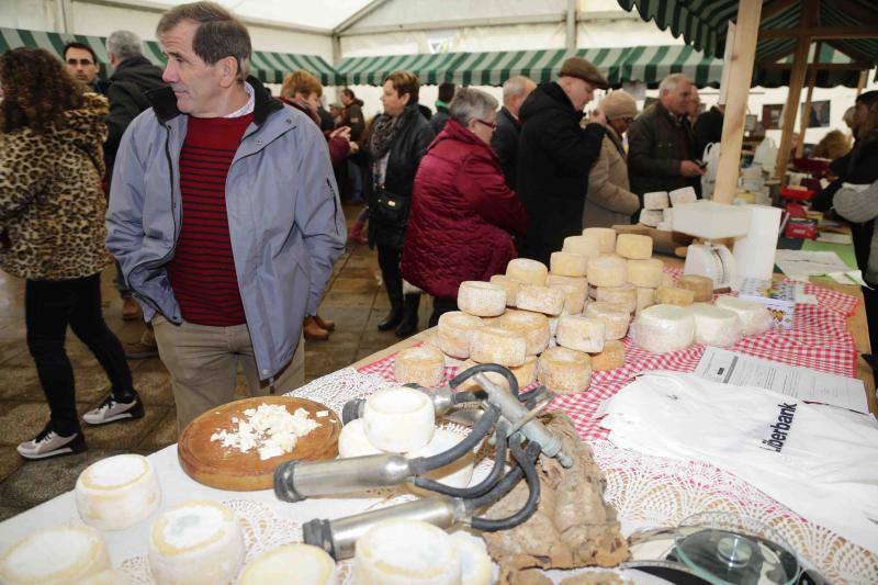 Calidad y frío gélido en el Certamen de Queso de los Beyos en Ponga