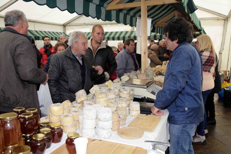 Calidad y frío gélido en el Certamen de Queso de los Beyos en Ponga