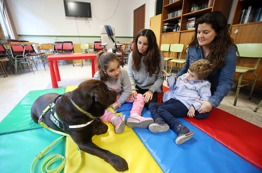 El colegio de educación especial programa actividades con perros que hacen las delicias de sus alumnos