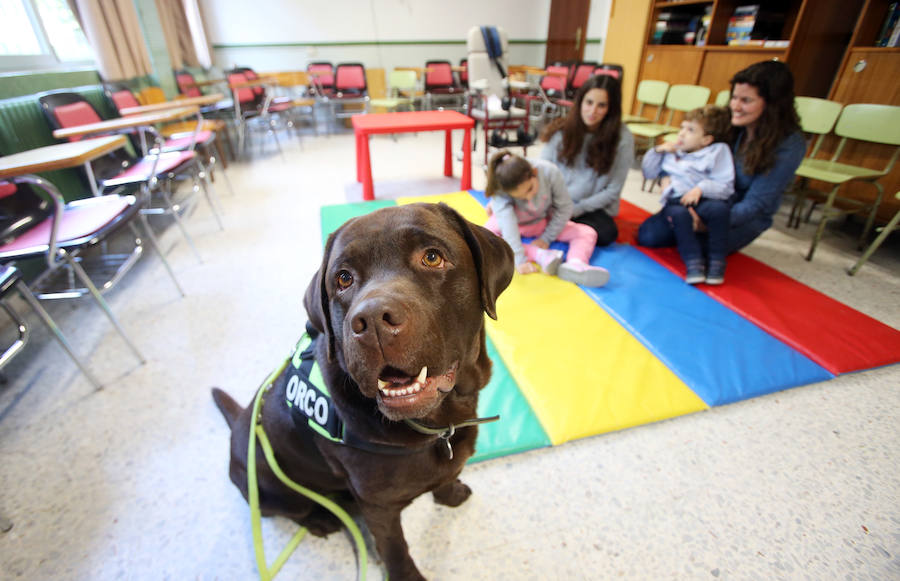 El colegio de educación especial programa actividades con perros que hacen las delicias de sus alumnos