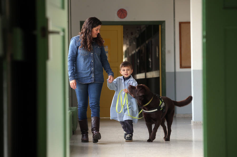 El colegio de educación especial programa actividades con perros que hacen las delicias de sus alumnos