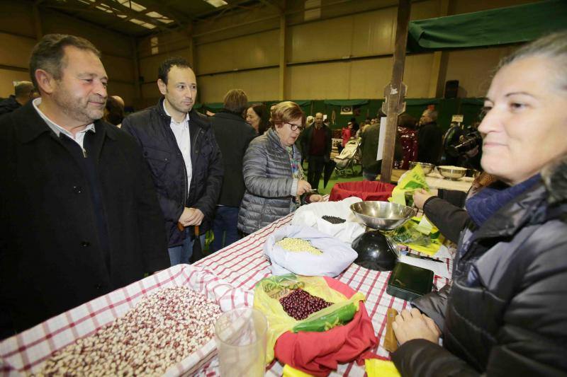 Las fabes reinan en Colunga