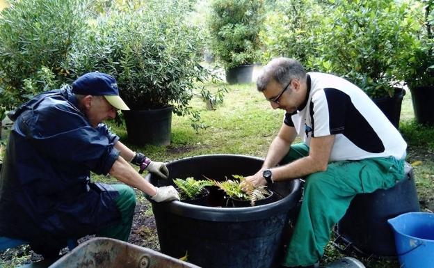 Dos de los participantes en el Proyecto Miraflores preparan un macetero con plantas.