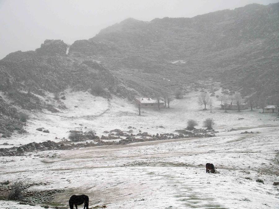 Los Lagos de Covadonga, cubiertos por la nieve