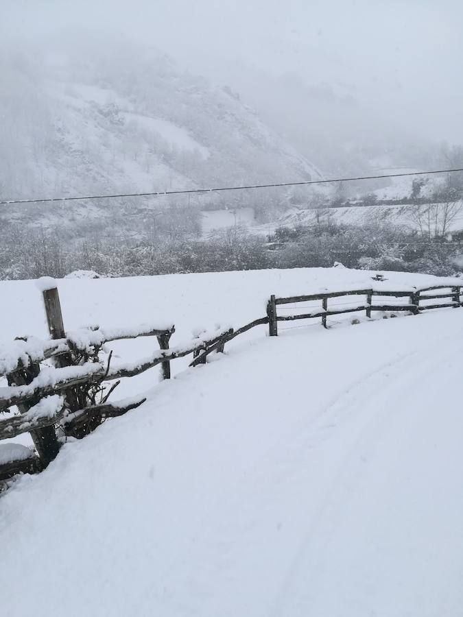 El descenso de las temperaturas unido a las precipitaciones registradas en las últimas horas dejan un manto blanco en las zonas altas del Principado