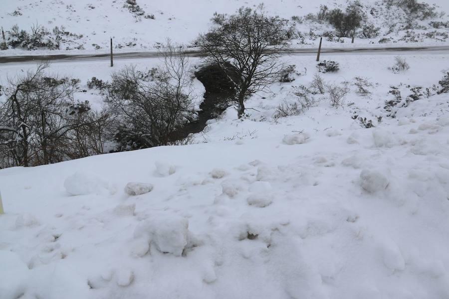 La lluvia y las precipitaciones ponen a Asturias en alerta amarilla