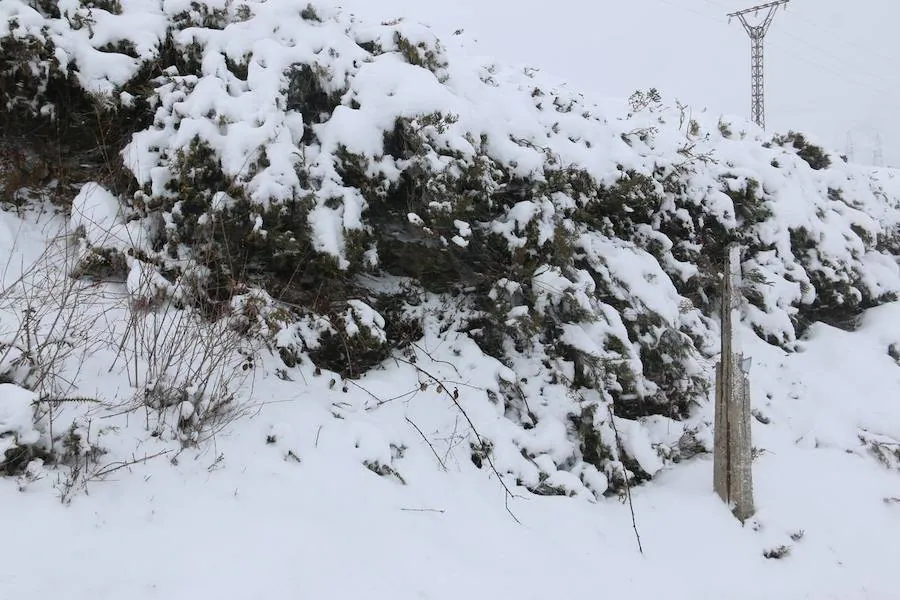 La lluvia y las precipitaciones ponen a Asturias en alerta amarilla