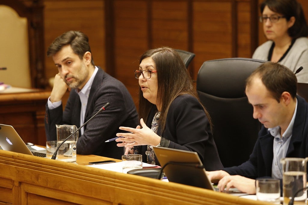 Pleno del Ayuntamiento de Gijón (17-01-2018)