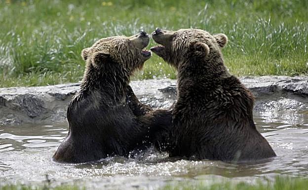 Cinco noticias que debes conocer antes de irte a dormir