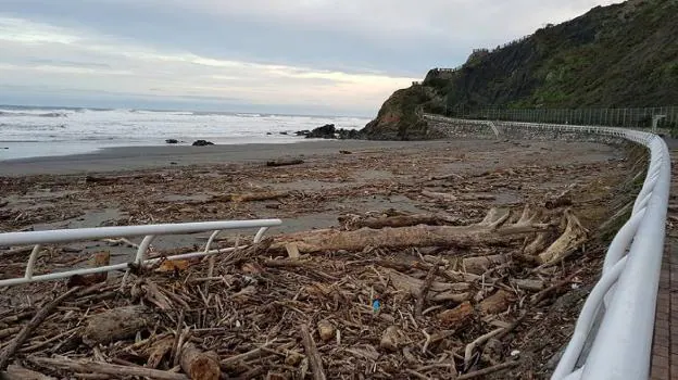 El temporal llena de madera Los Quebrantos
