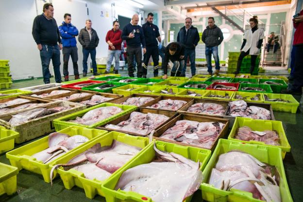 Compradores y profesionales de la mar asisten a la subasta de pescado celebrada ayer en la lonja llanisca. 