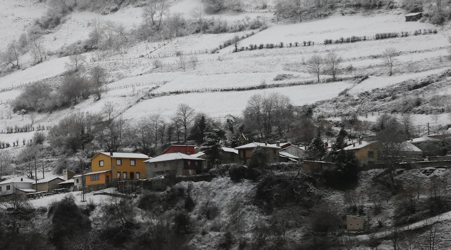 El invierno ha vuelto para quedarse en Asturias. La región se encuentra en alerta por nevadas, que mantienen Pajares cerrado para camiones y son obligatorias las cadenas en varios puertos de montaña