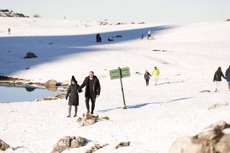 El sol de este domingo ha animado la asistencia a los Lagos de Covadonga, que se muestran cubiertos de blanco. Grandes y pequeños han disfrutado de la nieve y no han dudado en fotografiarse en el bello paraje.