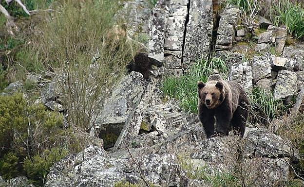 ¿Qué hacer este miércoles en Asturias?
