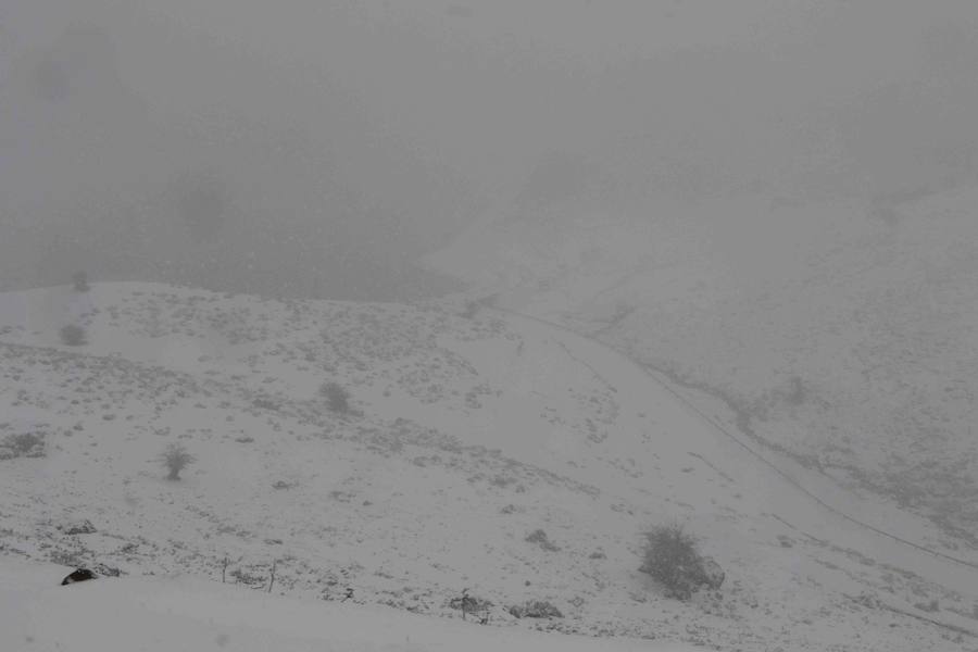 Las precipitaciones en forma de nieve llegarán a cotas de entre 400 y 600 metros