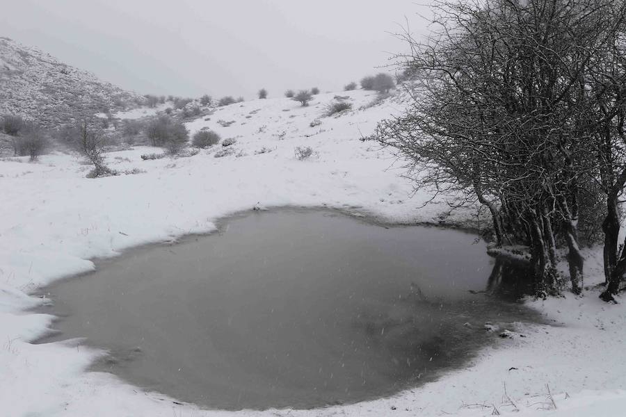 Las precipitaciones en forma de nieve llegarán a cotas de entre 400 y 600 metros