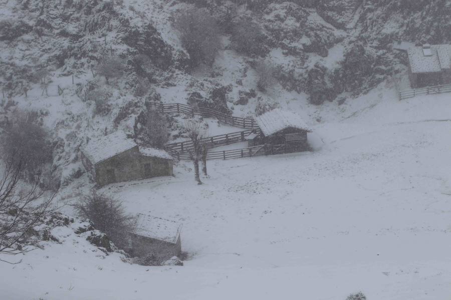 Las precipitaciones en forma de nieve llegarán a cotas de entre 400 y 600 metros