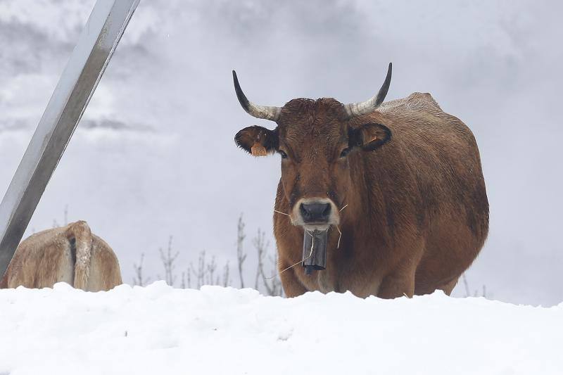 El temporal se recrudece en Asturias