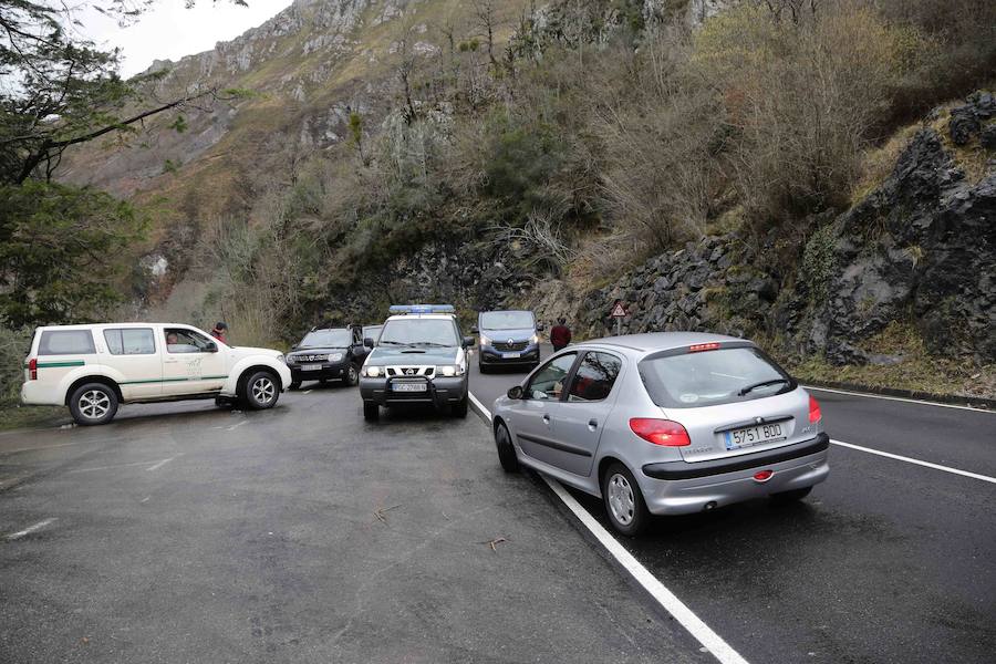 Corte en la carretera de acceso a Los Lagos y paraguas en Covadonga