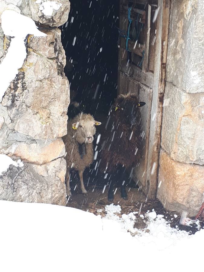 Nieve, frío y lluvia en Asturias