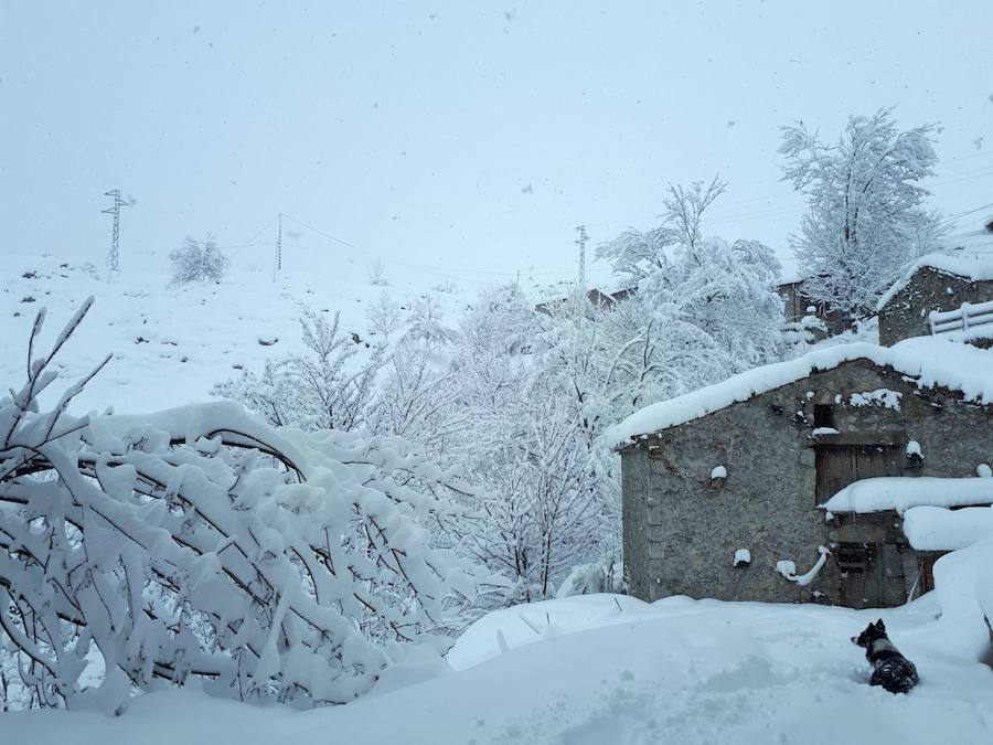 Nieve, frío y lluvia en Asturias