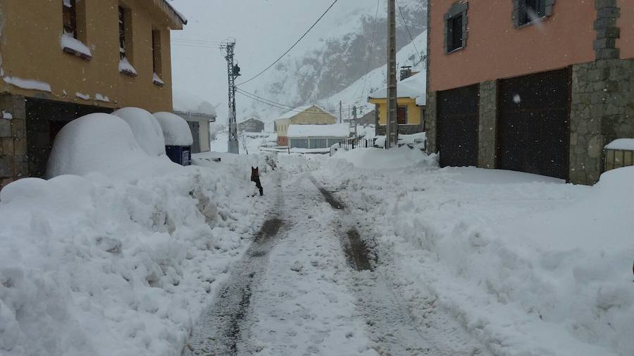 Impresionante nevada en el Occidente de Asturias