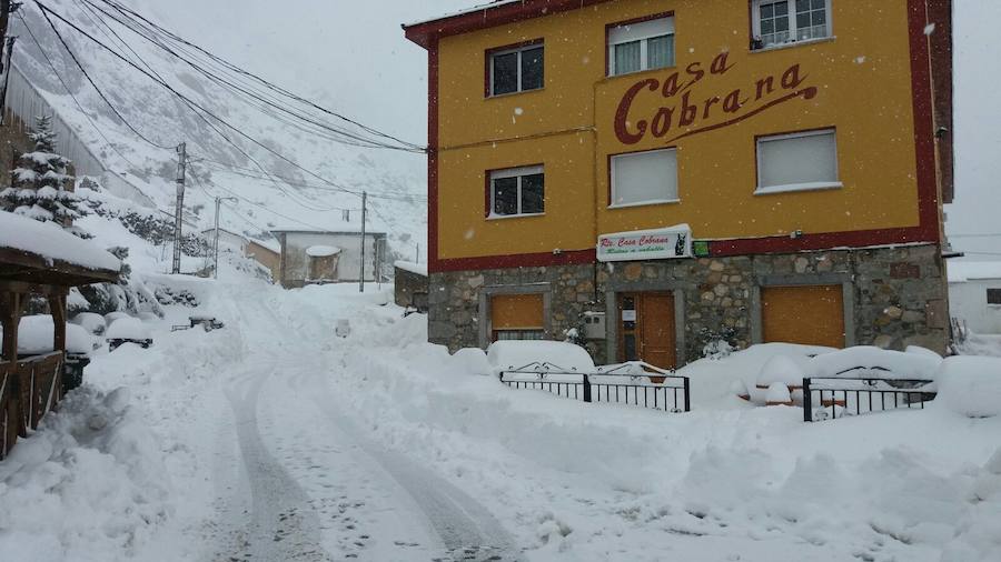 Impresionante nevada en el Occidente de Asturias