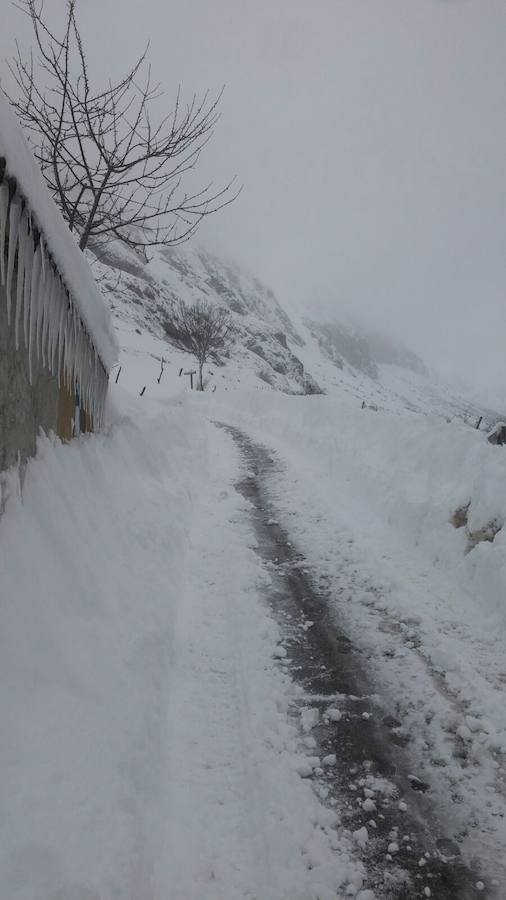 Impresionante nevada en el Occidente de Asturias