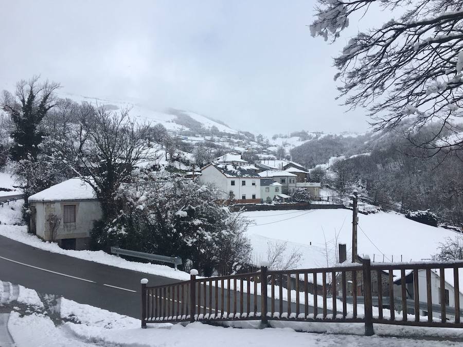Impresionante nevada en el Occidente de Asturias