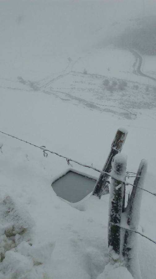 Impresionante nevada en el Occidente de Asturias