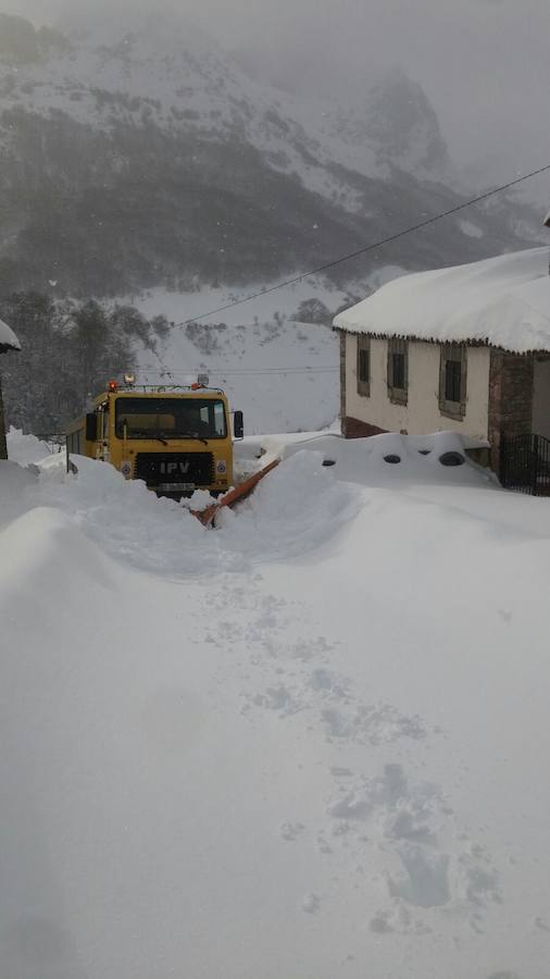 Impresionante nevada en el Occidente de Asturias