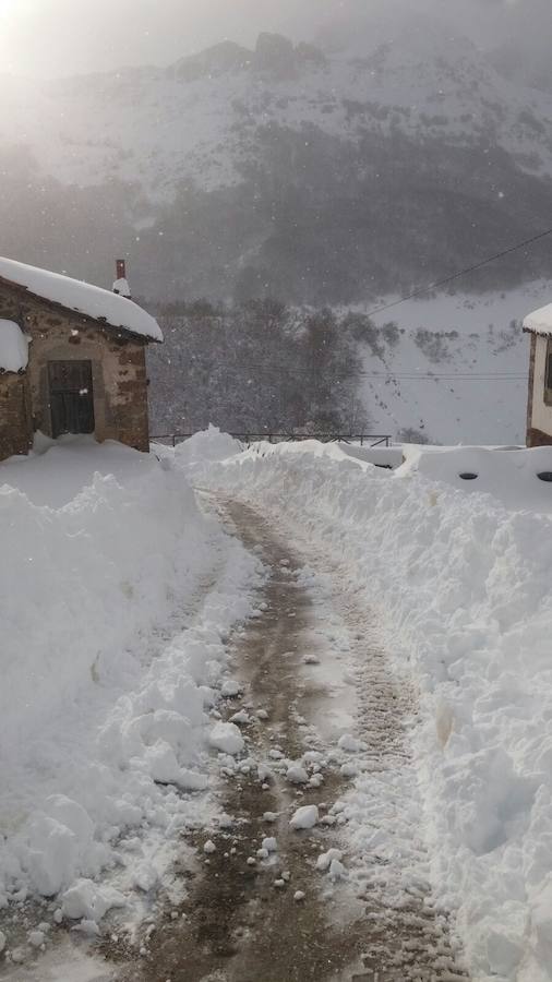 Impresionante nevada en el Occidente de Asturias