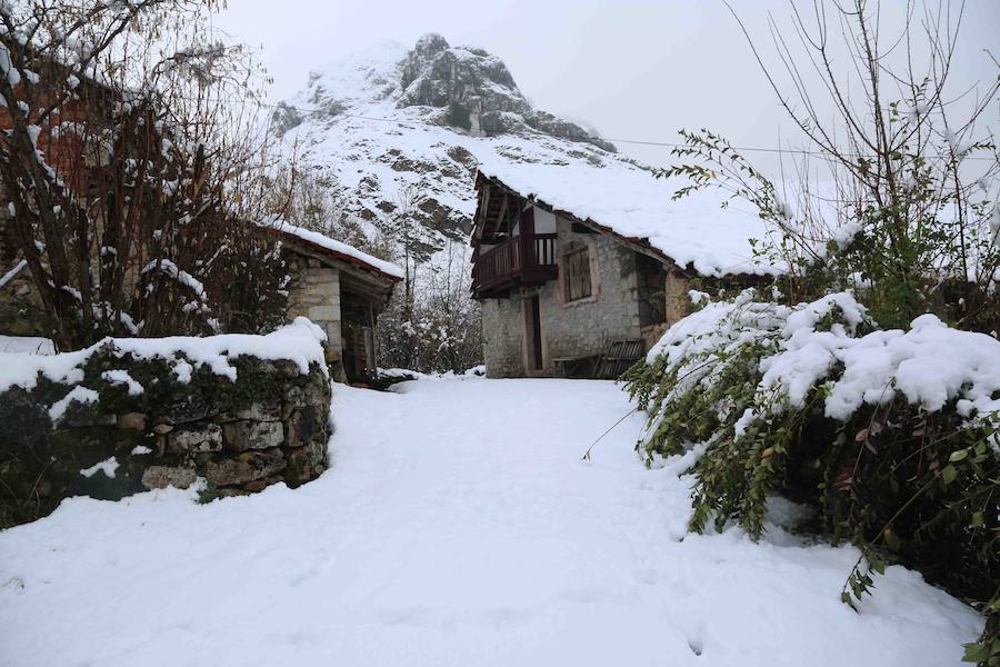 El concejo de Amieva se encuentra cubierto de un manto blanco tras las últimas nevadas, que dejan estas imágenes