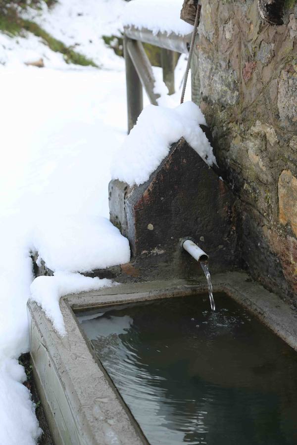 El concejo de Amieva se encuentra cubierto de un manto blanco tras las últimas nevadas, que dejan estas imágenes