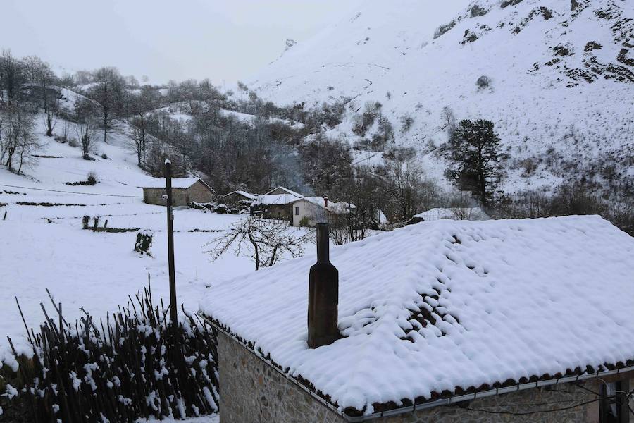 El concejo de Amieva se encuentra cubierto de un manto blanco tras las últimas nevadas, que dejan estas imágenes