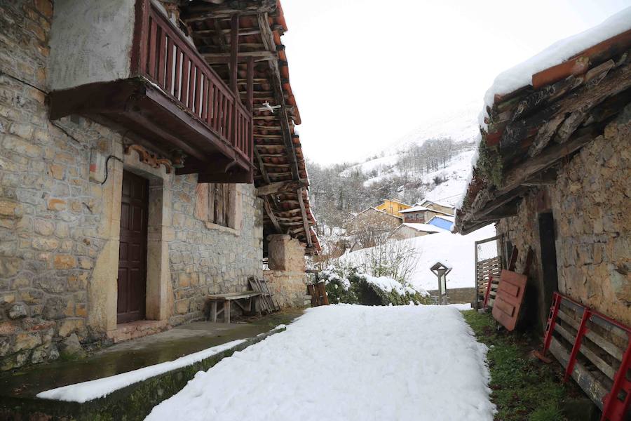 El concejo de Amieva se encuentra cubierto de un manto blanco tras las últimas nevadas, que dejan estas imágenes