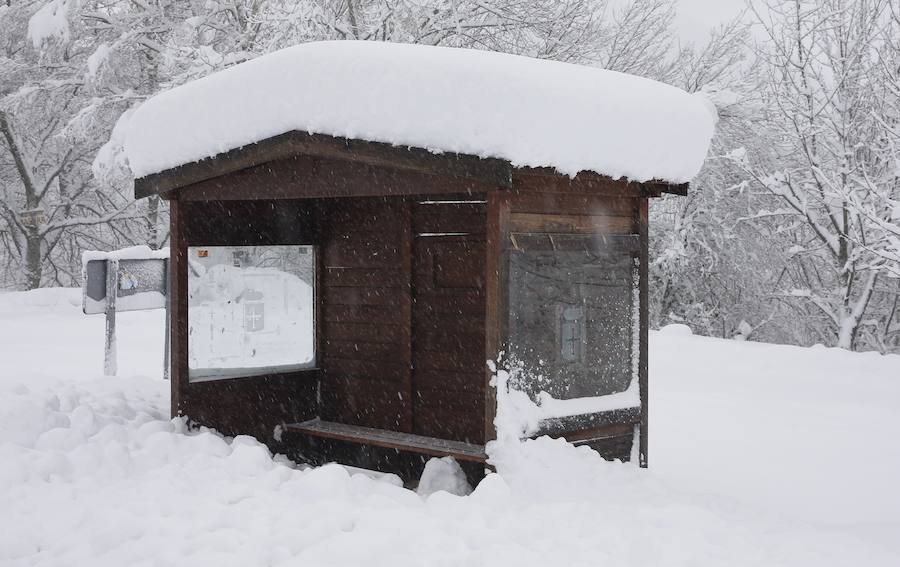 La llegada de un nuevo frente frío mantiene gran parte de Asturias bajo un manto blanco. Además de la nieve, la caída de árboles está complicando la circulación en varias carreteras de la región. 