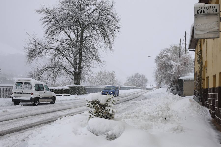 La llegada de un nuevo frente frío mantiene gran parte de Asturias bajo un manto blanco. Además de la nieve, la caída de árboles está complicando la circulación en varias carreteras de la región. 