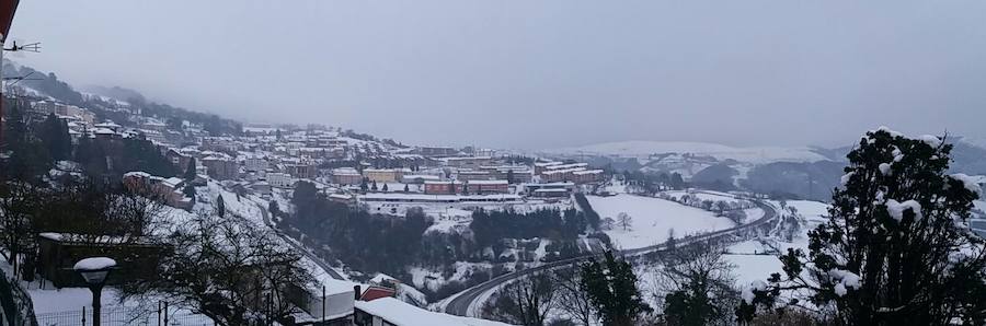 La llegada de un nuevo frente frío mantiene gran parte de Asturias bajo un manto blanco. Además de la nieve, la caída de árboles está complicando la circulación en varias carreteras de la región. 