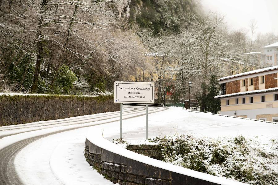 El Real Sitio de Covadonga luce una imagen totalmente invernal. Un manto blanco cubre todo el entorno dejando estas imágenes