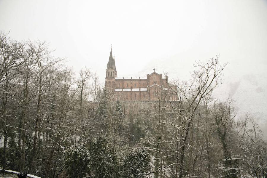 El Real Sitio de Covadonga luce una imagen totalmente invernal. Un manto blanco cubre todo el entorno dejando estas imágenes