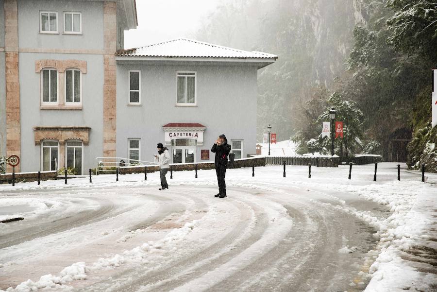 El Real Sitio de Covadonga luce una imagen totalmente invernal. Un manto blanco cubre todo el entorno dejando estas imágenes