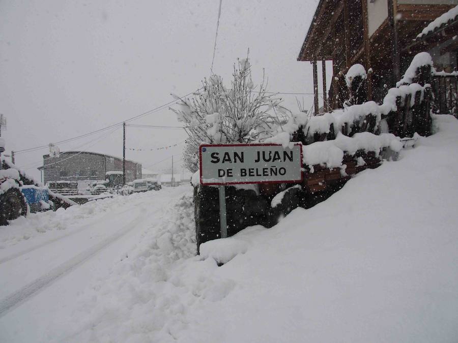 Los vecinos del Ponga hacen frente al invierno que ha vuelto a teñir de blanco el concejo. El concejo está rodeado de riscos y hayedos y es una de las poblaciones que se encuentran a mayor altura sobre el nivel del mar