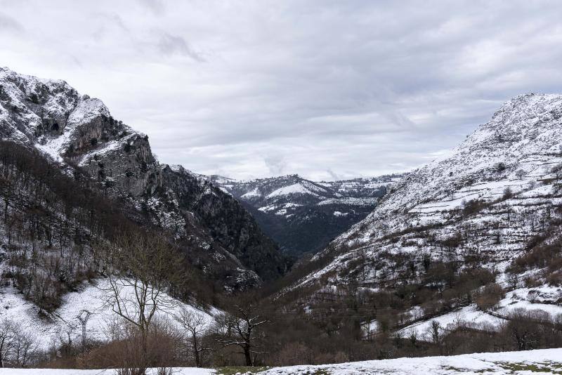 El Naranco cubierto de nieve se ha convertido en toda una atracción para muchos vecinos de Oviedo, que no han dudado en acercarse a disfrutar de la estampa. Otros puntos como Afilorios o Pedrovieya también se han cubierto de nieve. 