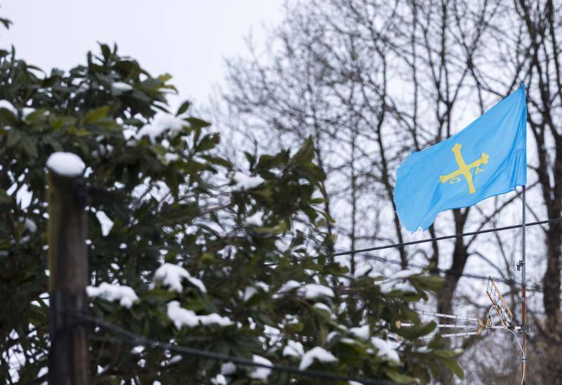 El Naranco cubierto de nieve se ha convertido en toda una atracción para muchos vecinos de Oviedo, que no han dudado en acercarse a disfrutar de la estampa. Otros puntos como Afilorios o Pedrovieya también se han cubierto de nieve. 