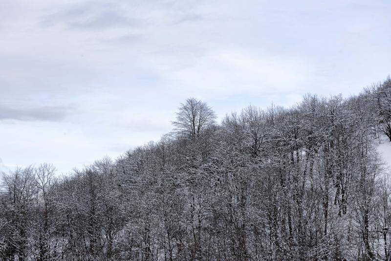 El Naranco cubierto de nieve se ha convertido en toda una atracción para muchos vecinos de Oviedo, que no han dudado en acercarse a disfrutar de la estampa. Otros puntos como Afilorios o Pedrovieya también se han cubierto de nieve. 