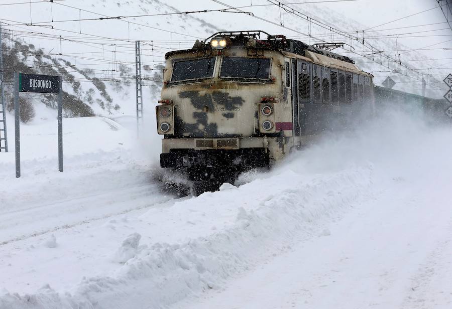 La nieve caída en las últimas jornadas ha dejado estas espectaculares imágenes de la línea ferroviaria en Busdongo, que une León y Asturias, que se encuentra suspendida