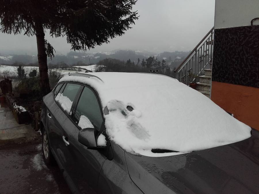 Los concejos del Suroccidente y los Valles Mineros son los más afectados por las intensas nevadas de los últimos días que, no obstante, han hecho acto de presencia en cotas más bajas.