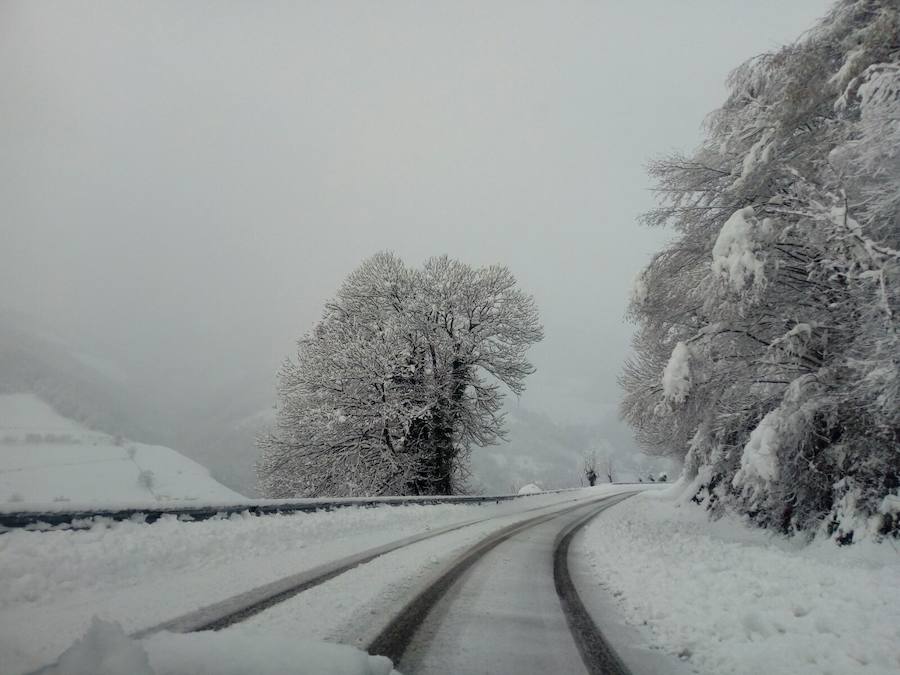 La nieve ha cubierto de un manto blanco gran parte del Suroccidente de Asturias, donde ha dejado importantes problemas en comunicaciones e infraestructuras eléctricas. Una de las vías con mayores complicaciones es el puerto de Leitariegos, en Cangas del Narcea.